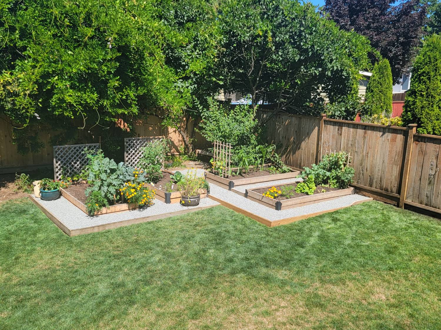 Raised garden beds with gravel paths and edging on a lawn